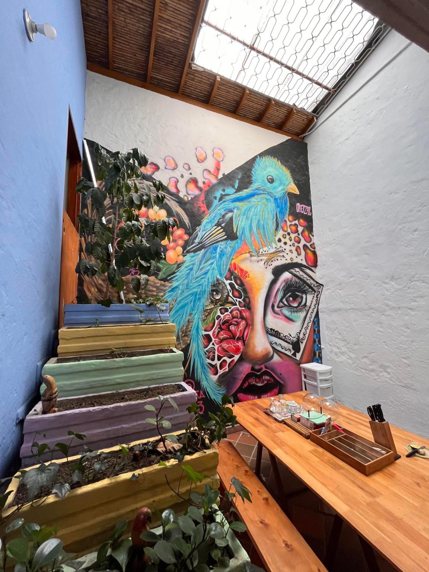 Yolo Hostel Medellín Exterior foto